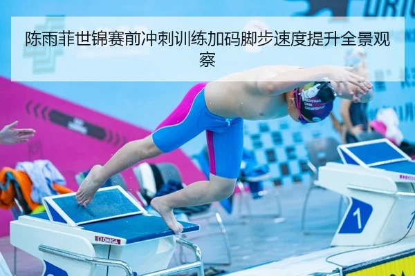 陈雨菲世锦赛前冲刺训练加码脚步速度提升全景观察